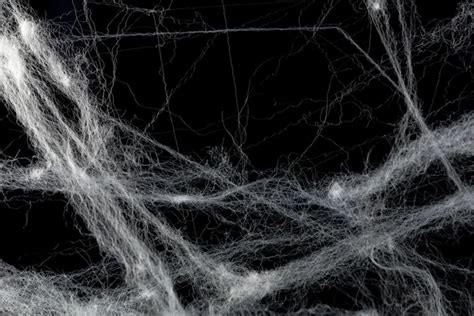 Fotos De Spider Web Overlay Imágenes De Spider Web Overlay ⬇ Descargar