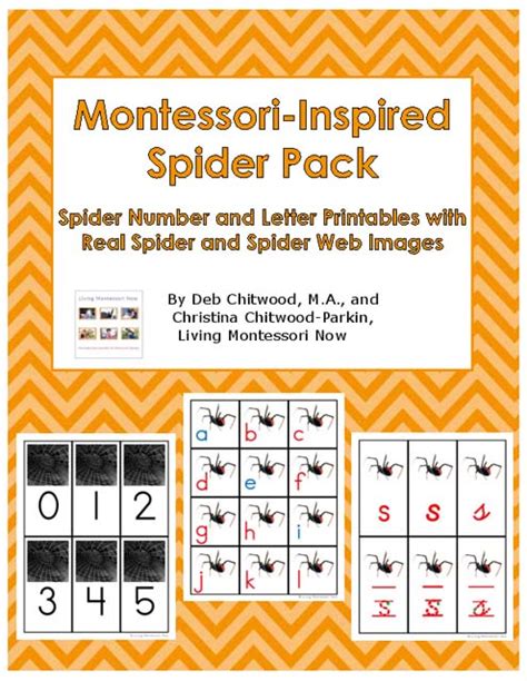 Free Spider Printables And Montessori Inspired Spider Activities