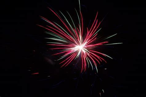 Free Images Black And White Dandelion Flower Sparkler Darkness