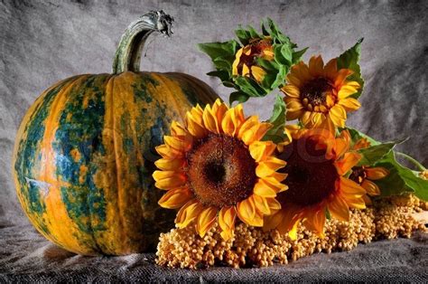 20 Fall Pictures With Pumpkins And Sunflowers
