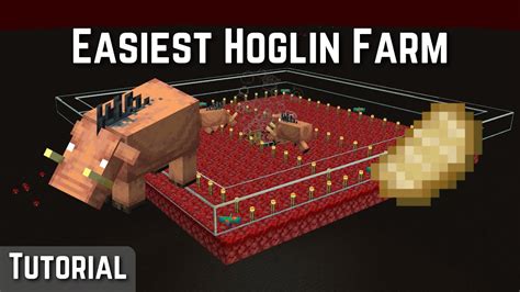 How To Build The Fastest Hoglin Farm Minecraft Youtube