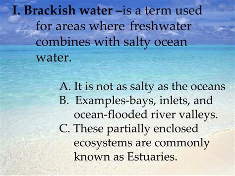 Ppt Transitional Ecosystems Brackish Water Powerpoint Presentation