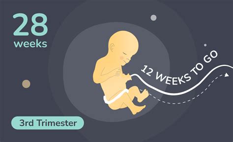 28 weeks pregnant garbh sanskar symptoms and tips