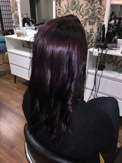 If you have blonde or light hair, the color will. 16+ Romantic Dark Brown With Purple Tint Hair Color ...