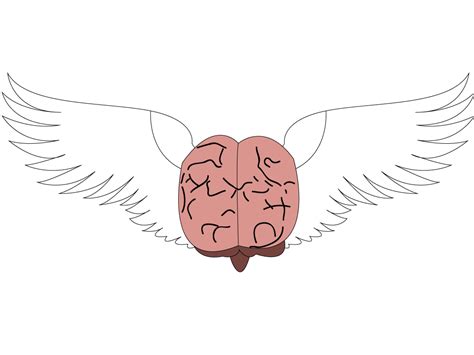 Brain With Wings Cerebro Alado Rooster Freedom Wings Finding