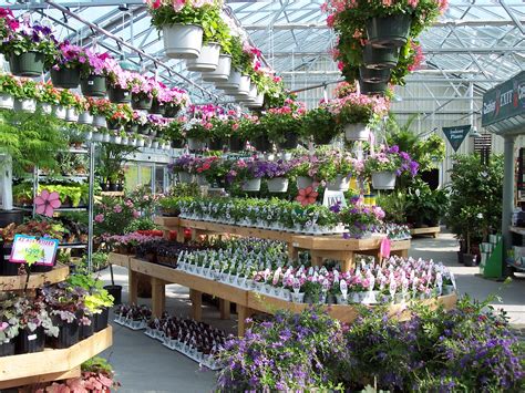 Annual Greenhouse At W And W Nursery Apalachinny Wandw Nursery
