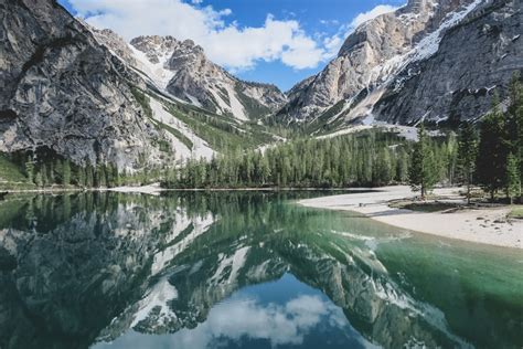 Green Trees Near Lake And Mountains During Daytime Photo Free Tree