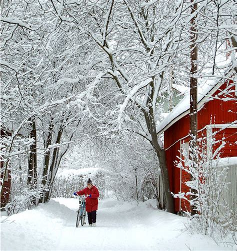 15 Amazing Winter Wonderland Photographs