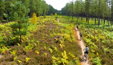 Mountain Biking At Moors Valley Country Park And Forest Visit Hampshire