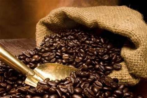 Request quotations and connect with malaysian manufacturers and b2b suppliers of coffee supplier from subang jaya, selangor, malaysia. Blue Mountain Coffee Beans 250g