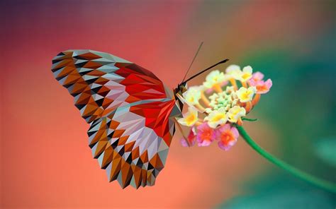 Butterfly Low Poly Nature Closeup Flowers Digital Art Wallpapers