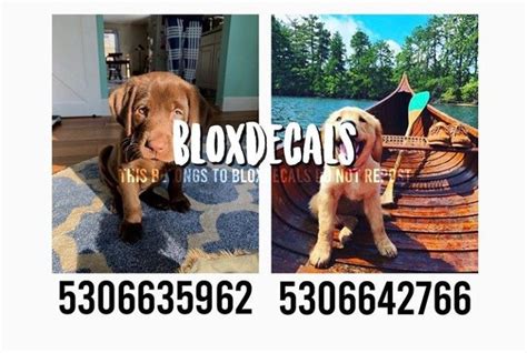 Dog Pictures Roblox Id Loankas