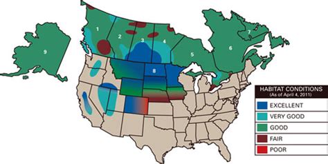 Waterfowl Spring Habitat Conditions Are Looking Good Outdoor Life