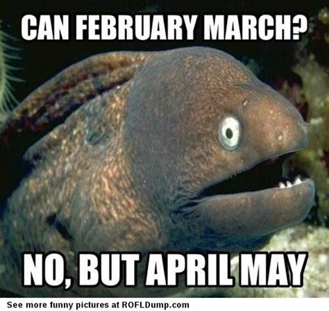 20 Very Funny March Meme Photos Gallery Picss Mine