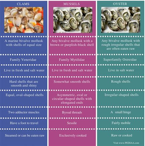 Difference Between Clams Mussels And Oysters Pediaacom