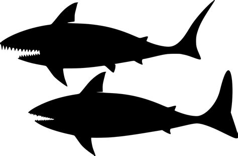 Great White Shark Clip Art Drawing Image Shark Png Download 960634