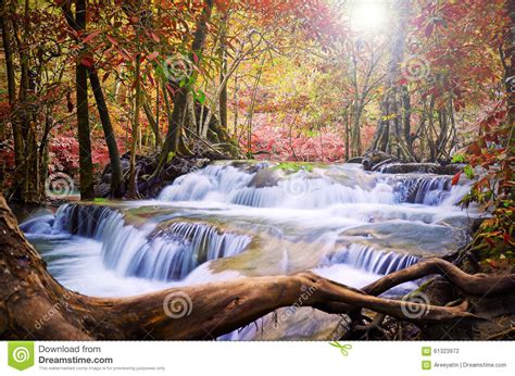 Beautiful Scenic Of Waterfall Stock Photo Image 61323972