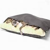 Photos of Fancy Pet Beds For Dogs