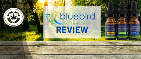 Bluebird Botanicals Cbd Isolate New Cbd Products Review