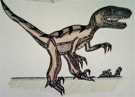 Jurassic Park Velociraptor By Arkenvoodai On Deviantart