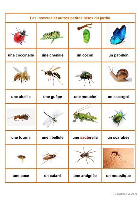 Les Insectes Et Autres Petites Bêtes Français Fle Fiches Pedagogiques