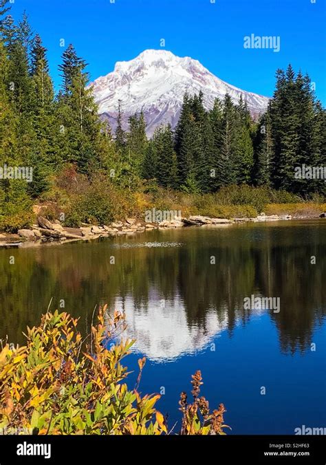 Reflections On Mirror Lake Mt Hood Is Reflected In The Serene And