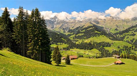 Switzerland Scenery Mountains Grasslands Oberland Fir Nature 412000
