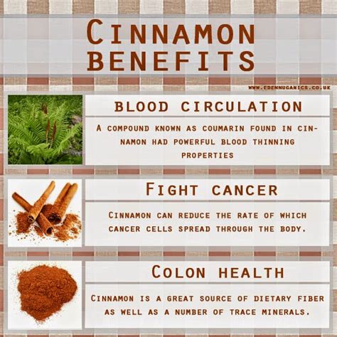 Eden Nuganics Blog Uses And Benefits Of Cinnamon