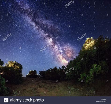 Milky Way Beautiful Summer Night Sky With Stars In Forest
