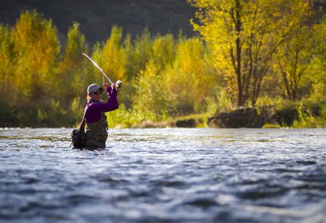Fall Fly Fishing Utahs Provo River Jeremy Allan Utah Fly Fishing