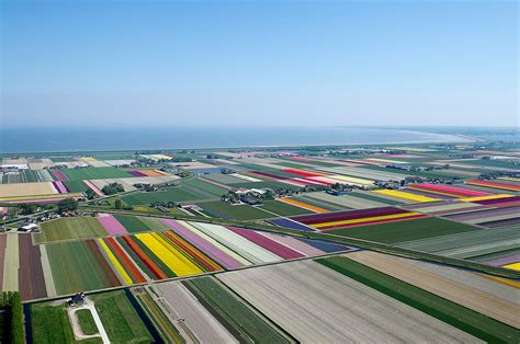 Aerial Photos Of Dutch Tulips In Bloom Look Like Earth In Pixels Demilked