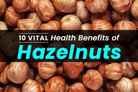 Top Health Benefits Of Hazelnut Eat Hazelnuts Daily