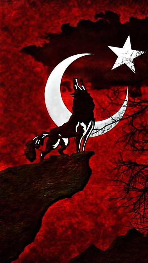 Want to discover art related to wolf_wallpaper? Download turkey flag wolf Wallpaper by susbulut - b3 ...