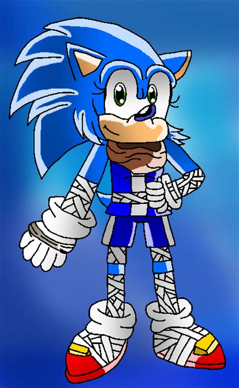 Gender Bender Sonic The Hedgehog Sonic Boom By