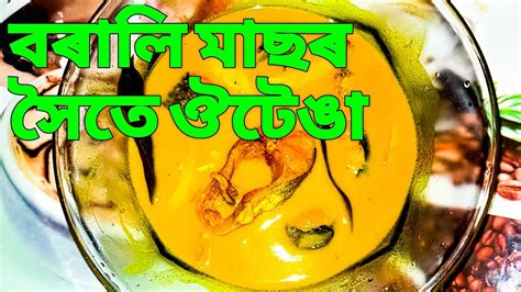 Borali Masor Hoite Outengar Aanja Recipe In Assamese Assamese Fish