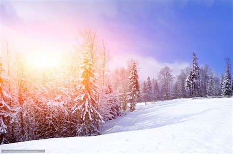 下载壁纸 冬天 雪 树 漂移 免费为您的桌面分辨率的壁纸 6016x4000 — 图片 №643145
