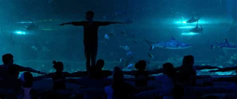 Recommended for beginners krystallos • core strengthening series. Photos: 'Shark yoga' at Loveland Living Planet Aquarium ...