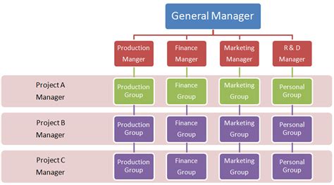 Project Management Matrix Organization Structure