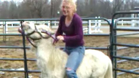 Girl Riding Mini Horse Pony Youtube