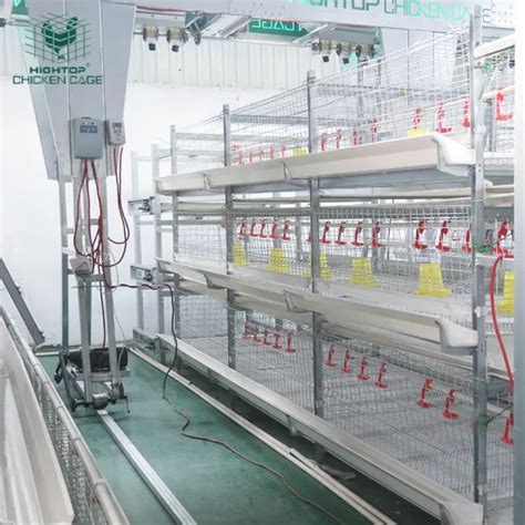 Hightop H Type 3 Tier Fully Automatic Poultry Chicken Broiler Cage System Chicken Poultry