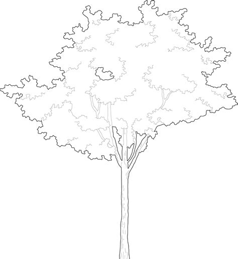 Small Tree That Will Make Any Project Look Better Cad Trees Free Dwg