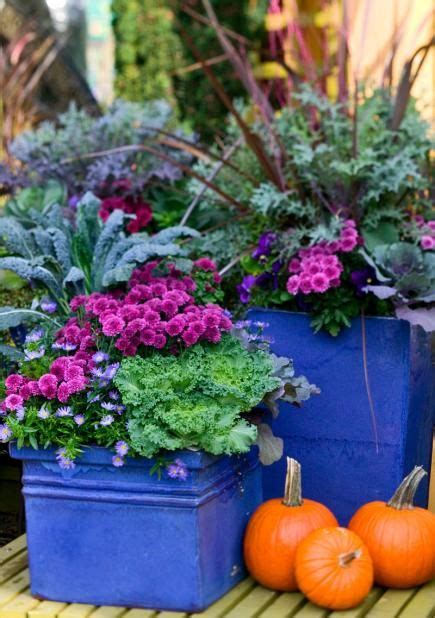 Outdoor Fall Decorating With Mums Fall Container Plants Fall