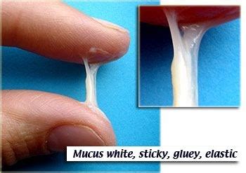 How Do You Read Cervical Mucus Changes In Early Pregnancy Tedy Printable Activities