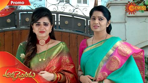 Akka Mogudu Preview 22nd January 2020 Gemini Tv Serial Telugu