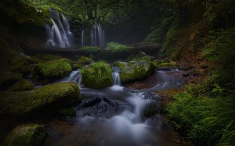 Waterfall In Dark Forest Papel De Parede And Planos De Fundo