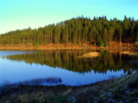 Galloway Forest Park Camping Scotland