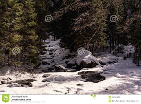 Snowy River Valley In The Mountains Of Romania Stock Image Image Of