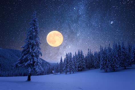 Winter Night With Starry Sky And Full Moon Stock Photo Download Image