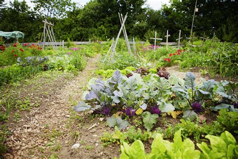 You can even aerate your lawn, dig post holes and mix compost heaps effortlessly. How to Prepare for a Fall Vegetable Garden