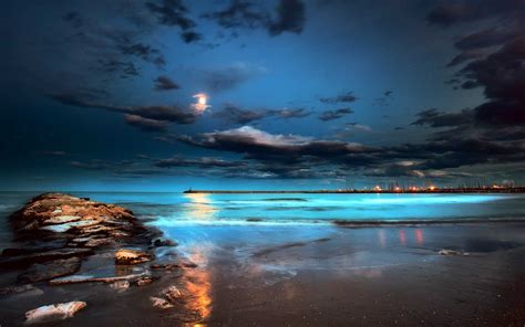 Free Download 1680x1050px Beach At Night Wallpaper 1680x1050 For Your